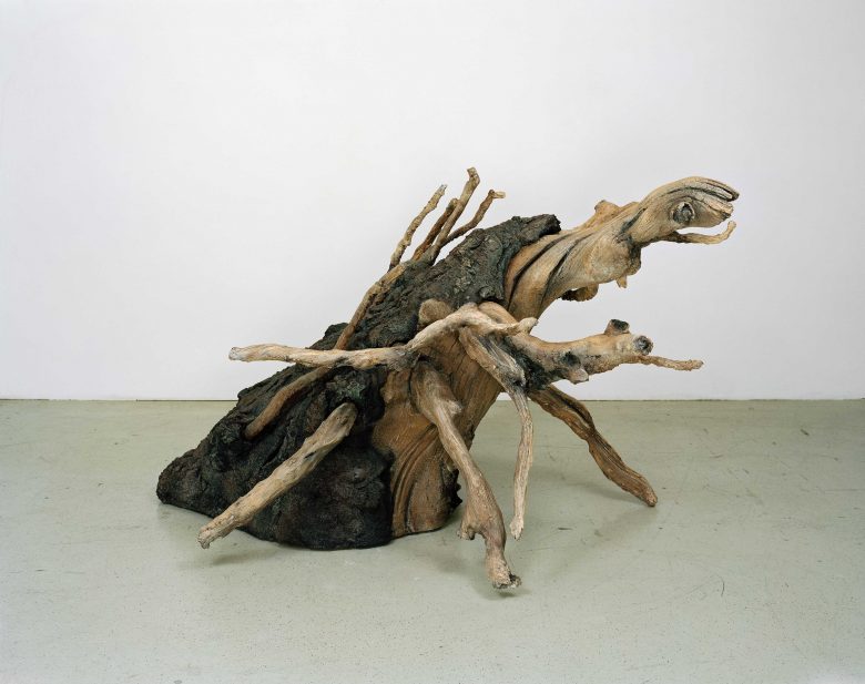 @ Vincent Kohler Gregor, racine, animal