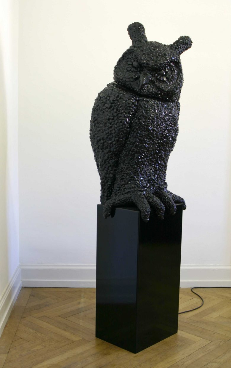 @ Vincent Kohler Hibou, owl petrol