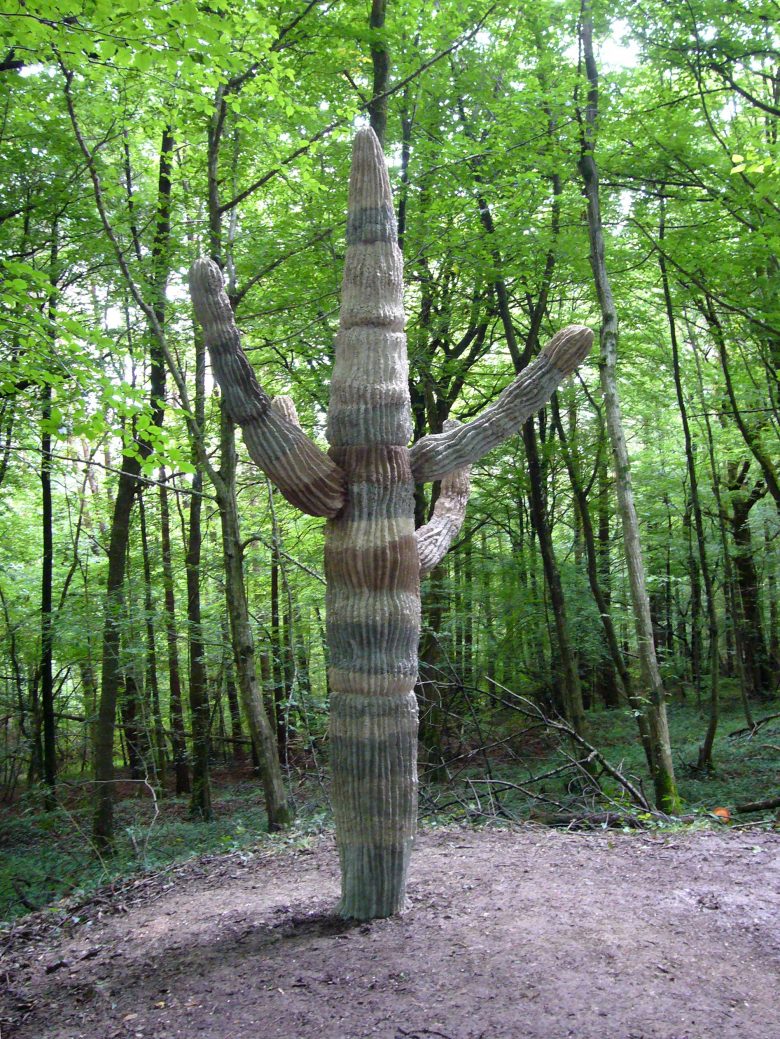 @ Vincent Kohler Wikiki, cactus, saguaro